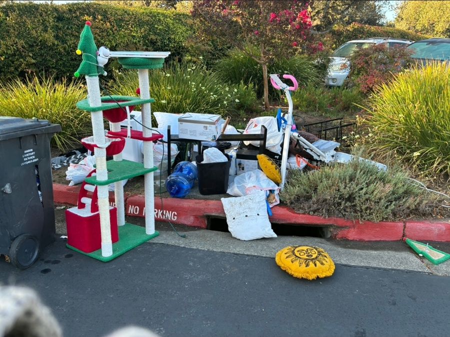 Before: Curbside Cleanout