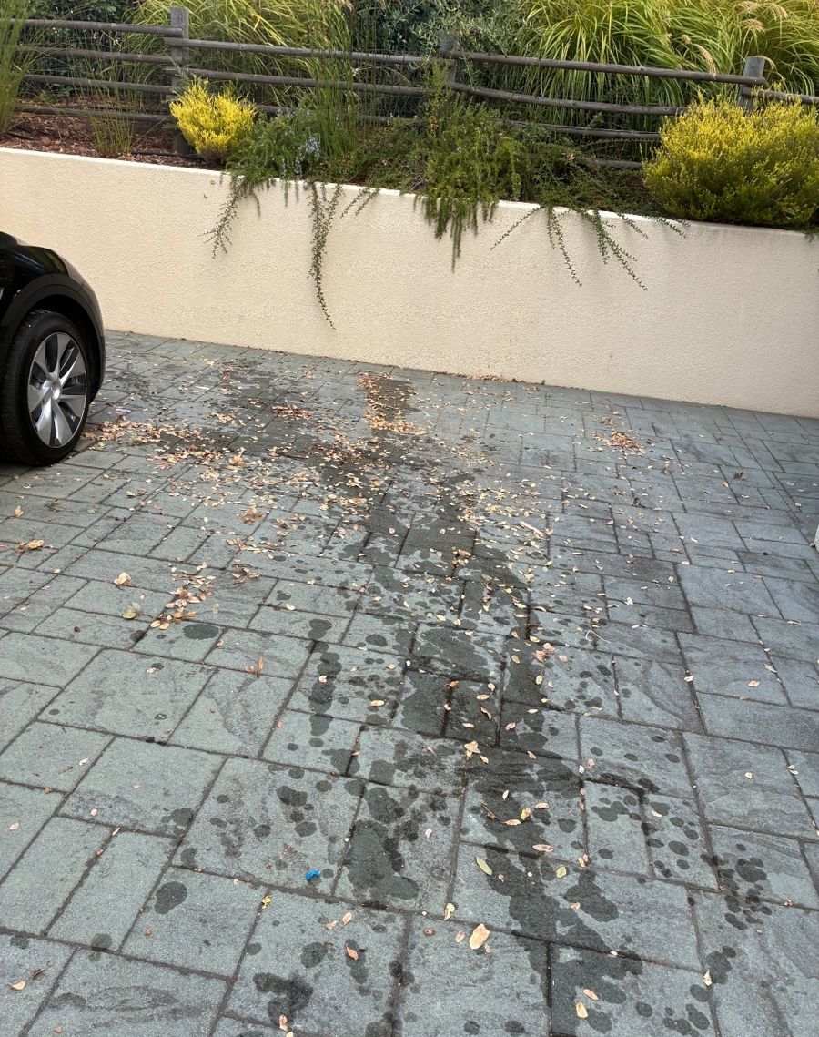 After: Patio Debris Haul