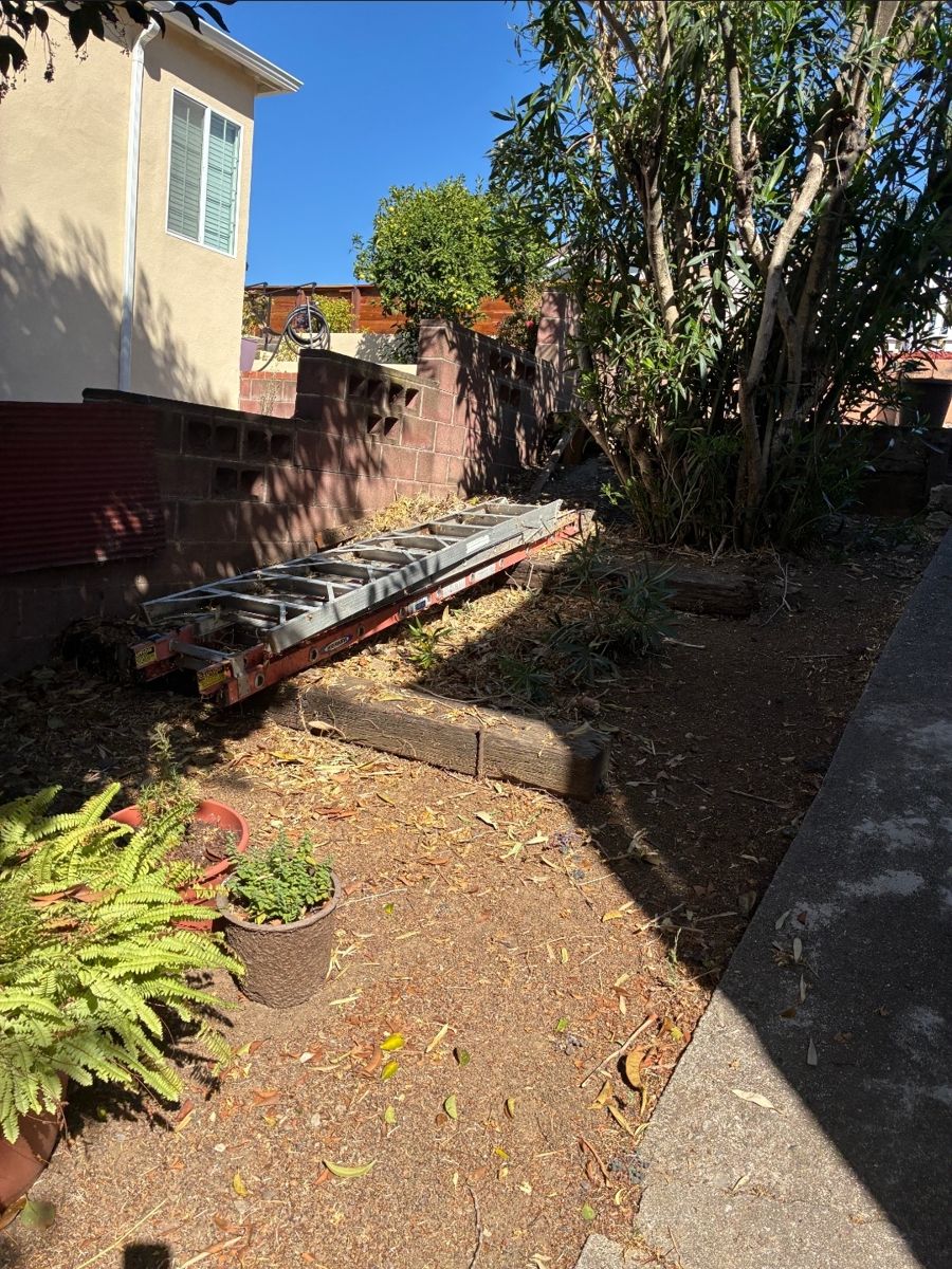 After: Side Yard Cleanup